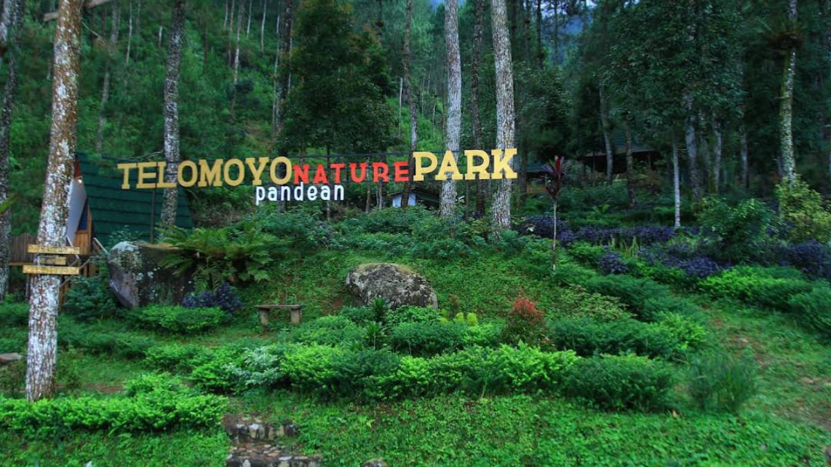 Telomoyo Nature Park: Menikmati Keindahan Alam di Lereng Gunung Telomoyo